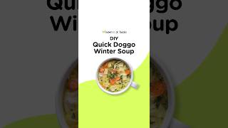 Winter Soup for Dogs  DIY Quick Doggo Winter Soup  Supertails [upl. by Irvine997]