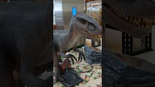 Dinosaur Ornitholestes shorts animal Please subscribe to my chanel [upl. by Shelley]