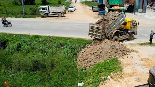 Amazing First Project Grassland Filling Size 5x100M For Build A Road With Skills D21PDozer Trucks [upl. by Tallia]