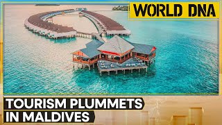 Maldives tourism takes a hit with mass decline in Indian travelers  Latest News  WION World DNA [upl. by Aniratak]