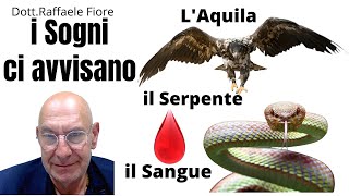 I Sogni e le Sincronicità ci avvisano  DottRaffaele Fiore [upl. by Edrahc]