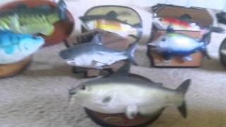 Singing Fish Collection Update  July 2015 [upl. by Rye]