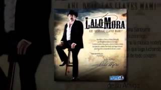 Lalo Mora No Soy Monedita de Oro [upl. by Schaffel]