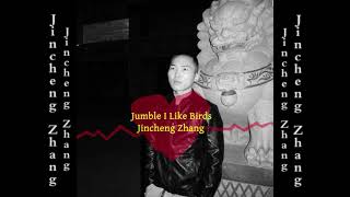 Jincheng Zhang  Lease I Like Birds Official Audio [upl. by Aihsele]