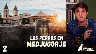 🔴 LOS PERROS EN MEDJUGORJE Casos alucinantes  Perros de la Guarda [upl. by Alayne]