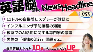 【英語ニュース】テイラー・スウィフト新恋愛？クルーズ船沈没！AI教育論争…今週の重要ニュースを英語でチェック！Day55 [upl. by Mcnully]