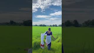 assamese tik tok 2024 videoassamese songassamese instagram reelsassamese shorts [upl. by Ahsilla]