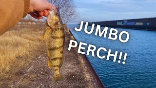 Chicago Perch Fishing January 2024SLAYED THEM [upl. by Fiora60]