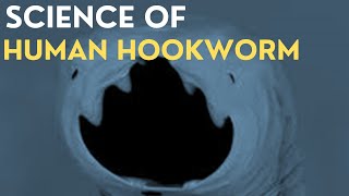 The Insane Biology of Human Hookworms [upl. by Eveivenej]