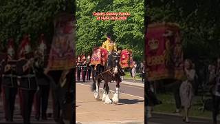 Cavalry Sunday Parade at Hyde Park 2024 horseguardsparade kingsguard viralvideo england london [upl. by Derron883]