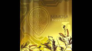 MiMOSA  Misconceptions  Hostilis [upl. by Latini370]