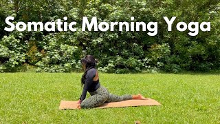 20 Minute Somatic Yoga amp Meditation For Your Morning Routine To Feel Your Best 💛 [upl. by Llerahs832]