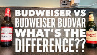 Budweiser Vs Budweiser Budvar  Whats The Difference Lets Find Out [upl. by Huckaby133]