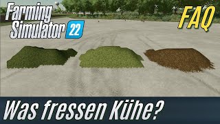 Was fressen KÃ¼he LS22 FAQ Einsteiger [upl. by Ecined966]