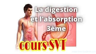 la digestion et labsorption svt 3ac تلخيص درس الهضم [upl. by Shah]