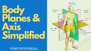 BODY PLANES amp AXIS SIMPLIFIED  Sagittal Coronal amp Transverse Planes [upl. by Jerald]