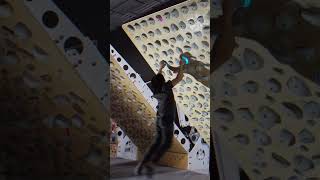 ECHOLOCATION V77A AT 45⁰ bouldering indoorclimbing boardclimbing kilterboard training [upl. by Notled]