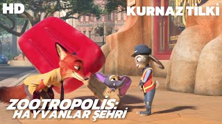 Zootropolis  Kurnaz Tilki  Türkçe Dublaj Animasyon Kesitleri İzle HD [upl. by Aronid]