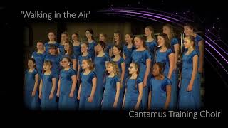 Walking in the Air performed by the Cantamus Training Choir [upl. by Ardnekahs]