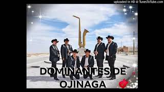 DOMINANTES DE OJINAGA quot2019quot [upl. by Leirbaj617]