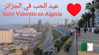 Saint Valentin en Algérie عيد الحب في الجزائر [upl. by Sitoiganap]