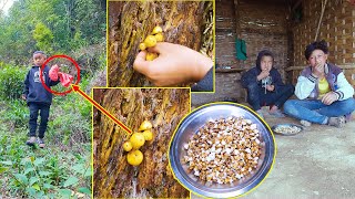 We are Picking wild mushroom in Jungle  Enjoying Popcorn togetherManjitamrnati [upl. by Constancia630]