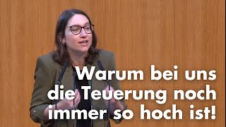 Julia Herr im Parlament Was es braucht um unser Leben endlich wieder leistbar zu machen [upl. by Ezalb209]