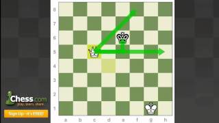 Chess Endgames Checkmating with a Queen [upl. by Pearline]