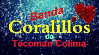 banda coralillos la reyna [upl. by Naomi]