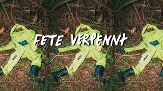 Deichkind  Fete Verpennt Official Audio [upl. by Ainigriv275]