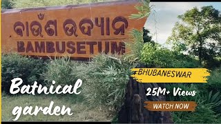 Baunsha udyana Batnical garden bhubaneswar [upl. by Wagner734]