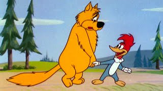 Woody Makes A New Friend  25 Hours of Classic Episodes of Woody Woodpecker [upl. by Bowyer]