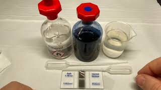 Haemocytometer and Serial Dilution [upl. by Sanborn]