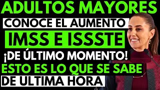 😱🔥 Aumento Confirmado para Pensionados IMSS e ISSSTE 💵 Recibe Hasta 16777 ¡Entérate [upl. by Yvehc]