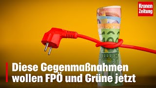 Diese Gegenmaßnahmen wollen FPÖ und Grüne jetzt  kronetv NEWS [upl. by Ultan807]