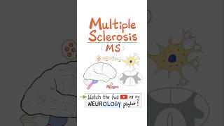 Multiple Sclerosis MS Demyelinating Autoimmune Disease  Part 3…anatomy neuro nurse mbbs [upl. by Spark576]