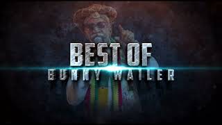 Dj James The Rockstar  Best Of Bunny Wailer Tribute Mixtape [upl. by Ydderf]