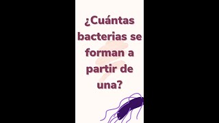 🦠🔬¿CUANTAS BACTERIAS se producen en UNA HORA 🦠🔬microbiología [upl. by Adnylem]