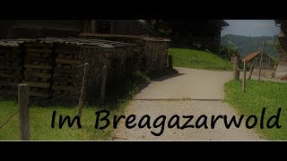 Im Breagazarwold  Im Bregenzerwald  Sara Metzler [upl. by Hollister]