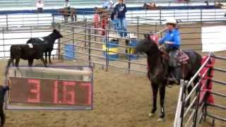 Ranch Sorting National Championships Ranch Sorting at its Best [upl. by Naletak226]