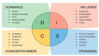 Preparation for the DISC PPA Personality Test [upl. by Earvin]