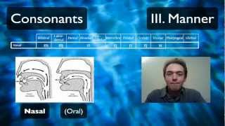 Pronunciation Tutorial 2 English Pronunciation and IPA Manner [upl. by Adniuqal]