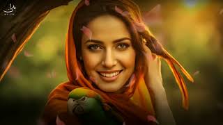 New Pashto Song  Jumki Sada Derade Kulki Sada  Sadat Sadiq  Baraan Music [upl. by Zara]