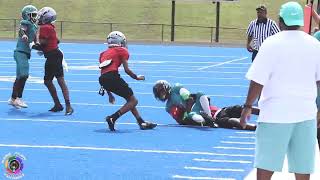 FREE FLOW VISUALS  Demauri Walker 12U VA Eagles “Mic’d Up” vs VA Jags youthfootball [upl. by Alebasi]