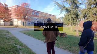 DJI Neo Airedale Terrier Parkville HS 2 Baltimore [upl. by Seta]