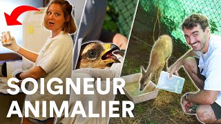 DEVENIR SOIGNEUR ANIMALIER  réalité du métier refuges formations salaires [upl. by Ainala]