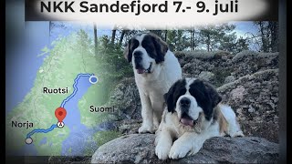 Pohjoismaiden voittaja koiranäyttely 2023  Sandefjord Norja  Nordic Winner dogshow 2023 Sandefjord [upl. by Louanne]