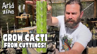 How to grow cacti from cuttings [upl. by Brina515]