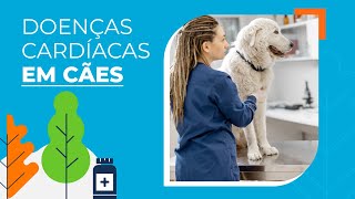 5 principais doenças cardíacas em cães [upl. by Nnylcaj736]