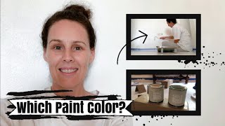 NEW MAGNOLIA PAINT SAMPLES  RENOVATING OUR CALIFORNIA HOME [upl. by Zurc575]